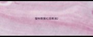 猫咪眼圈红流眼泪