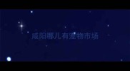咸阳哪儿有宠物市场