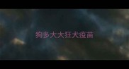 狗多大大狂犬疫苗