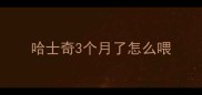 哈士奇3个月了怎么喂