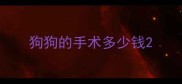 狗狗的手术多少钱