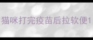 猫咪打完疫苗后拉软便