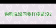 狗狗洗澡问我打疫苗没