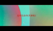 拉布拉多冬天穿鞋