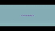 济南好的宠物医院
