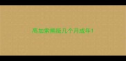 高加索熊版几个月成年