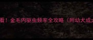 金毛家长必看金毛内驱虫频率全攻略附幼犬成犬孕犬指南