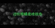 边牧眼睛是啥颜色