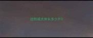 边牧成犬体长多少斤
