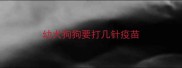 幼犬狗狗要打几针疫苗