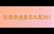 巨型泰迪是怎么配的