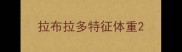 拉布拉多特征体重