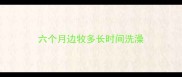 六个月边牧多长时间洗澡