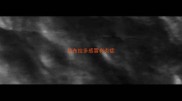 拉布拉多感冒有炎症