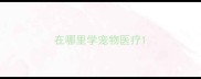 在哪里学宠物医疗
