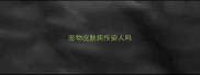 宠物皮肤病传染人吗