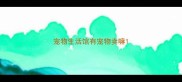 宠物生活馆有宠物卖嘛