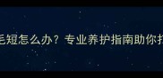 5个月萨摩耶幼犬毛短怎么办专业养护指南助你打造蓬松顺滑被毛