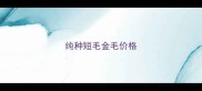 纯种短毛金毛价格
