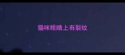 猫咪眼睛上有裂纹