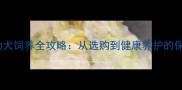 白拉布拉多幼犬饲养全攻略从选购到健康养护的保姆级指南