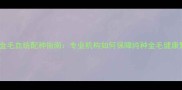 南昌金毛血统配种指南专业机构如何保障纯种金毛健康繁育