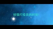 给猫打疫苗的好处