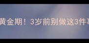 边牧公犬配种黄金期3岁前别做这3件事新手必看