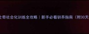三个月哈士奇社会化训练全攻略新手必看驯养指南附30天养成计划