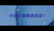犬细小病毒病疫苗