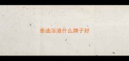 泰迪浴液什么牌子好