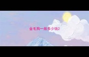 金毛狗一般多少钱