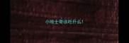 小哈士奇该吃什么