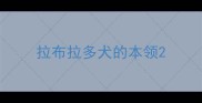 拉布拉多犬的本领