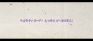 哈士奇多少钱一只全攻略价格与选购要点