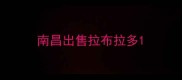 南昌出售拉布拉多