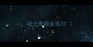哈士奇跟金毛22