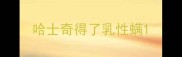 哈士奇得了乳性螨