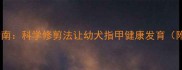 新生儿宠物护理指南科学修剪法让幼犬指甲健康发育附详细步骤图解