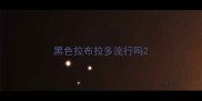 黑色拉布拉多流行吗