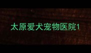 太原爱犬宠物医院