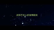 沈阳不坑人的宠物医院