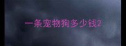 一条宠物狗多少钱