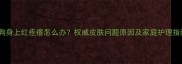 小狗身上红疙瘩怎么办权威皮肤问题原因及家庭护理指南