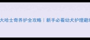 2个月大哈士奇养护全攻略新手必看幼犬护理避坑指南