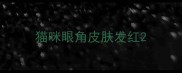 猫咪眼角皮肤发红