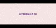 金毛蹦蹦哒哒乱叫