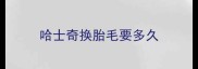 哈士奇换胎毛要多久
