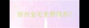 徐州金毛免费领养