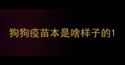 狗狗疫苗本是啥样子的